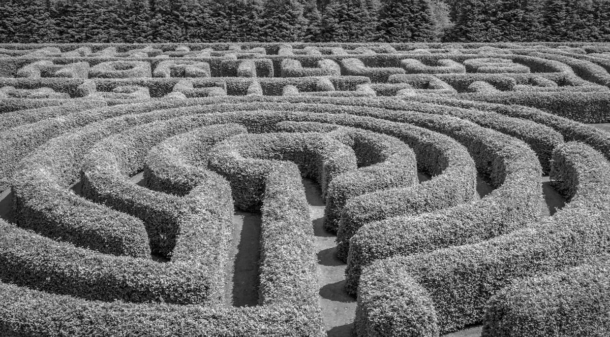Labyrint lagd av busker 