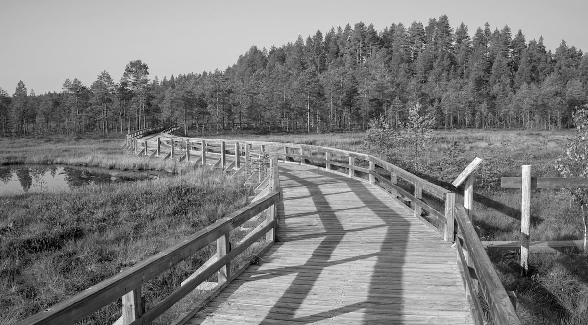Träramp byggd över en myr