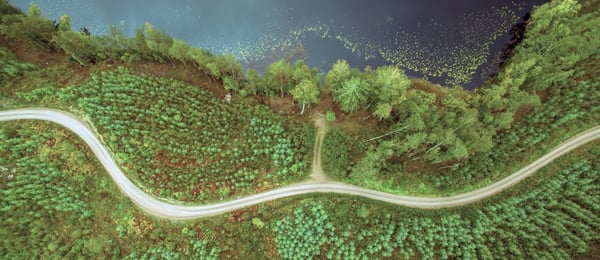 Svinget vei i skogen ved siden av en innsjø