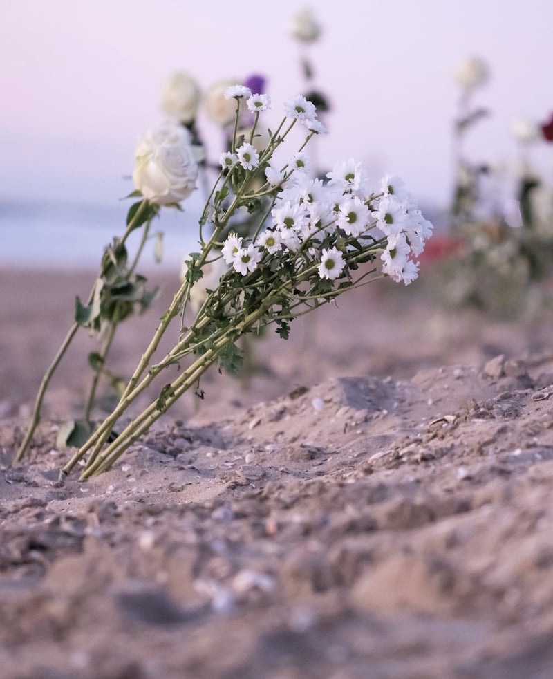Blomster som er satt ned på standen