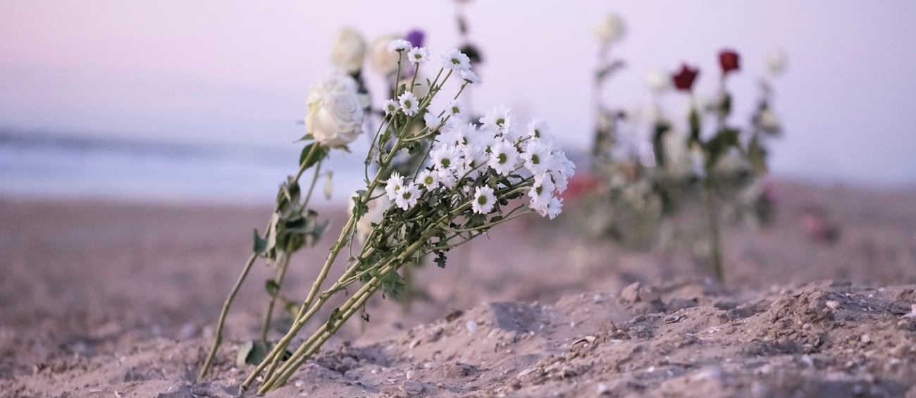 Blomster som er satt ned på standen