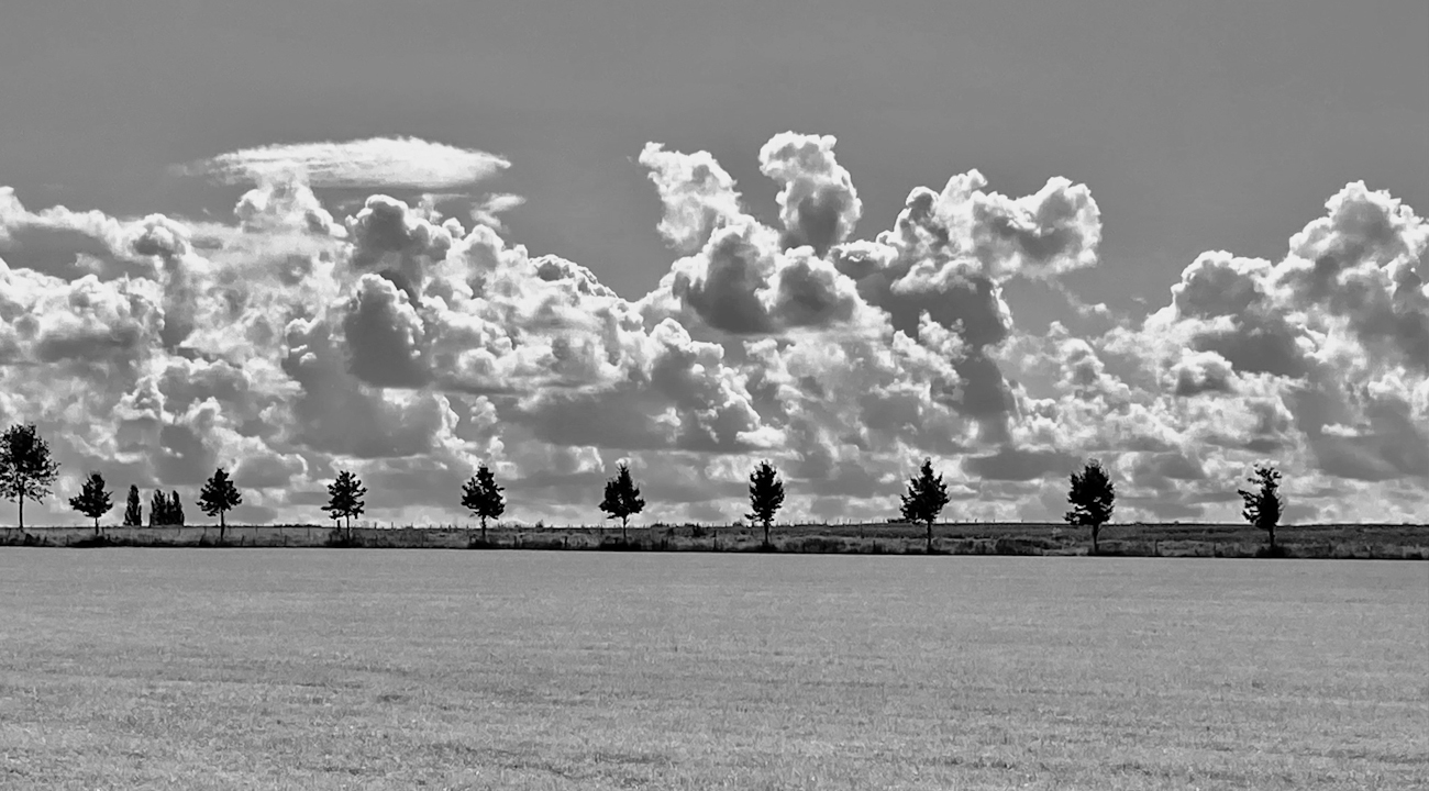 Moln med träd i förgrunden