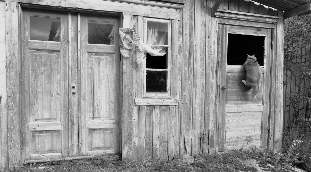 Vad är ISMS och varför behöver du ett ledningssystem för informationssäkerhet?