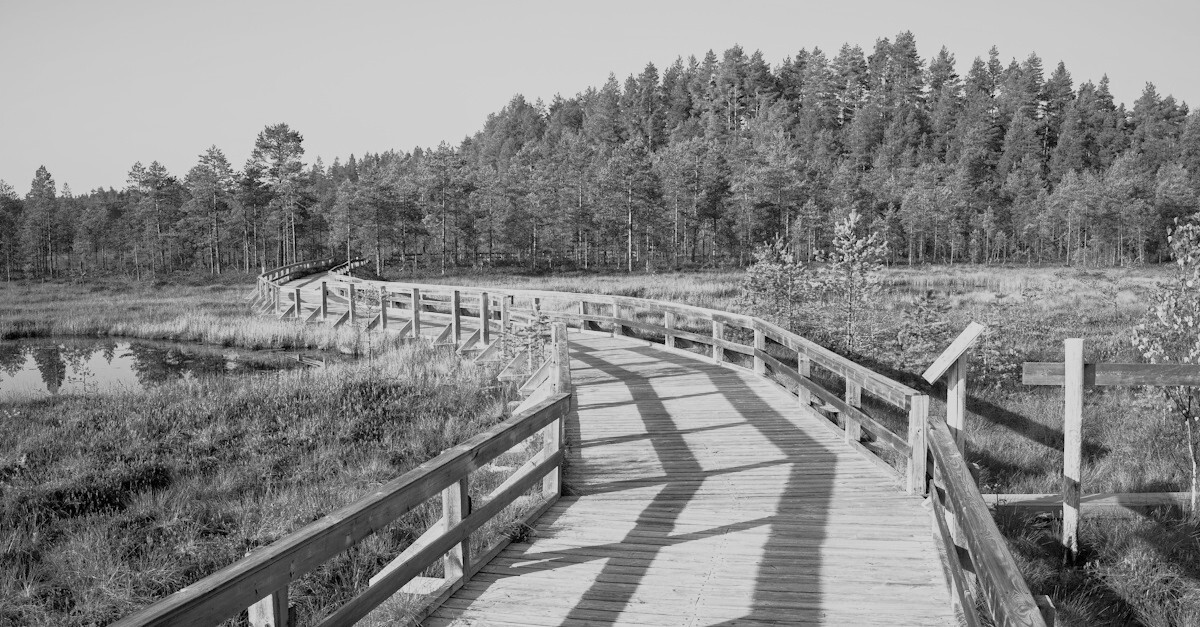 Kan KI-agenter løse dine UU-utfordringer?