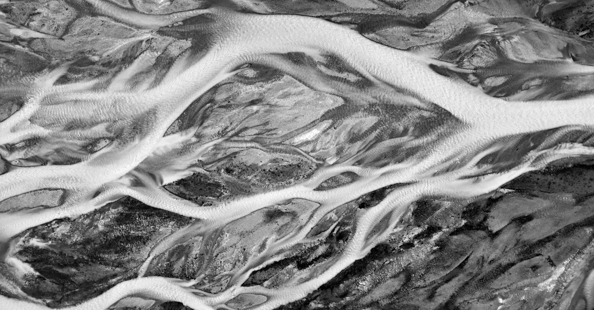 Kundedata som konkurransefortrinn: Slik løfter AI CRM til et nytt nivå